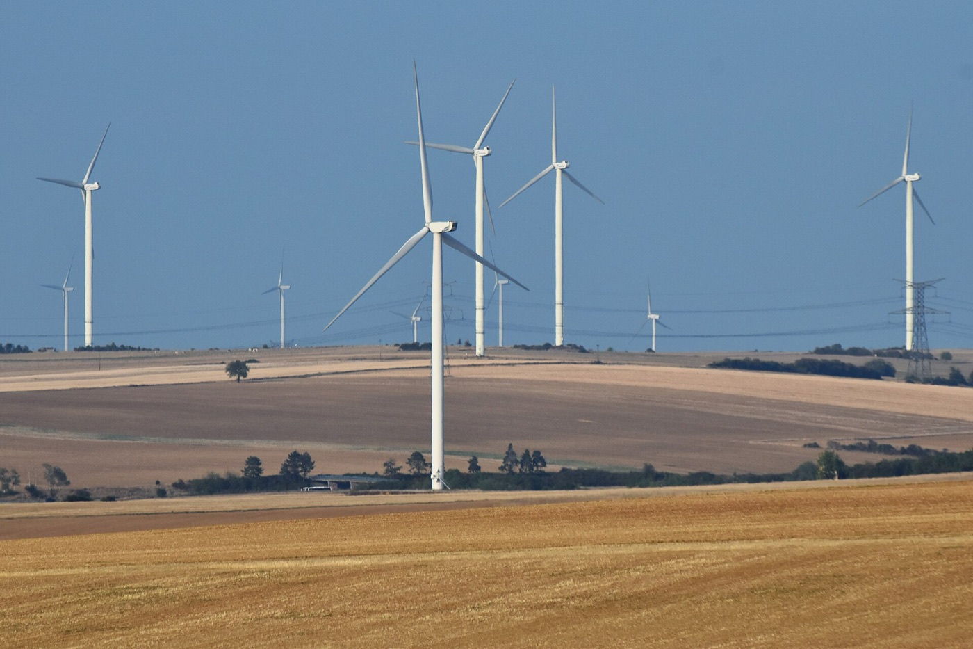 Site d'entreprise réduisant son empreinte carbone grâce à l'efficacité énergétique